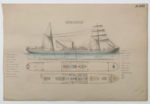Original 19th Century Ship Plan / Technical Drawing 'Ss Polynesia' Signed C Mitchell & Co, Dated 1881