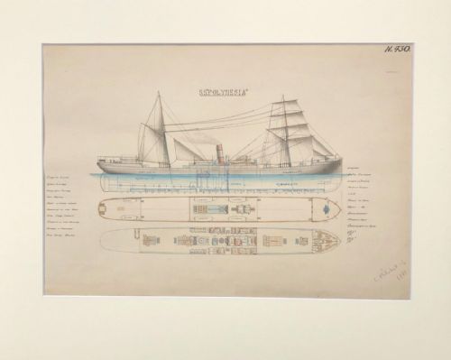 fig 1. Original 19th Century Ship Plan / Technical Drawing 'SS Polynesia' Signed C Mitchell & Co, Dated 1881
