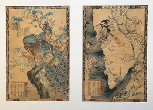 Kono Bairei Two Framed Original Antique Japanese Woodblock Prints Bird Studies