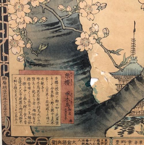 fig 1. Kono Bairei TWO Framed Original Antique Japanese Woodblock Prints Bird Studies