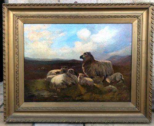 fig 1. Signed W Hallam 1917 Original Early 20th Century Antique Oil Painting on Canvas Moorland Sheep Resting in a Scottish Landscape