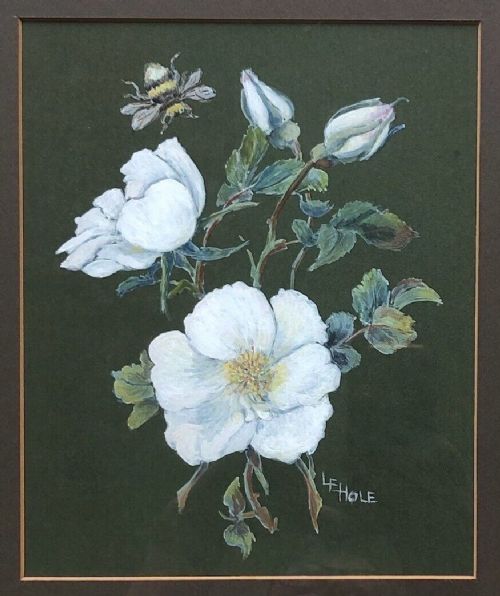 fig 1. L E Hole Signed Original Mid 20th Century Gouache Watercolour Painting White Rose & Bee Still Life Flower Study