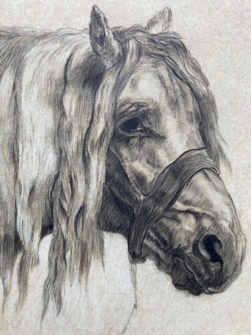Original Early 19th Century Antique Pencil Charcoal Sketch Study of a Horse's Head Facing Right