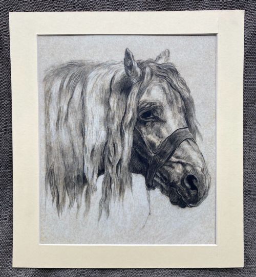 fig 1. Original Early 19th Century Antique Pencil Charcoal Sketch Study of a Horse's Head facing Right