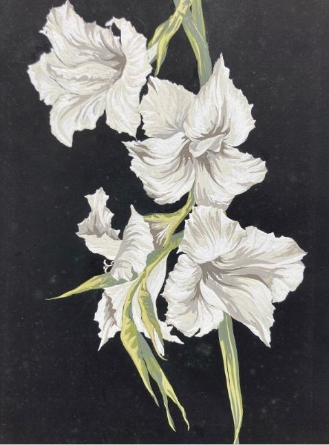 fig 1. A vintage botanical watercolour painting depicting white gladioli blossoms with green stems against a solid black background.