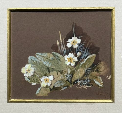 fig 1. A 19th-century Victorian botanical gouache study depicting white and yellow wild primrose flowers with green leaves on a brown paper background.