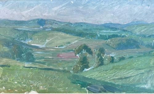 HUBERT WELLINGTON ORIGINAL EARLY 20TH CENTURY BRITISH OIL PAINTING ON WOOD PANEL CARDIGANSHIRE VALLEY WELSH LANDSCAPE - ADDITIONAL PHOTO 1