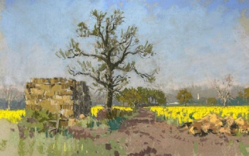 A mid-20th-century pastel drawing depicting a rural Yorkshire landscape featuring a bare tree beside a dirt track and vibrant yellow fields under a light blue sky. View VIII