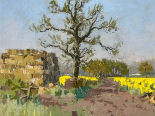 A mid-20th-century pastel drawing depicting a rural Yorkshire landscape featuring a bare tree beside a dirt track and vibrant yellow fields under a light blue sky. View XI
