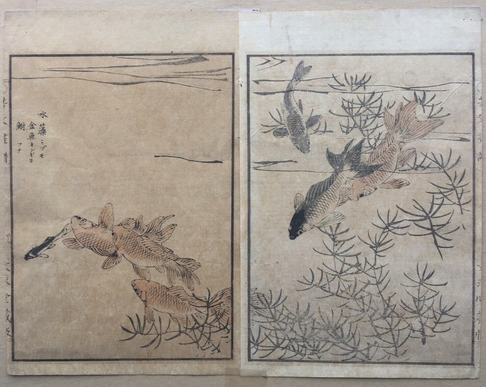 Pair of Antique Japanese Hand Coloured Woodblock prints of Goldfish with Script Presented in Mount