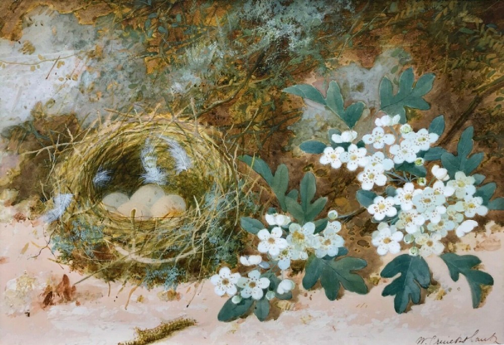 William Cruikshank RCA Signed Original English Antique Watercolour Painting Bird Nest & Eggs 