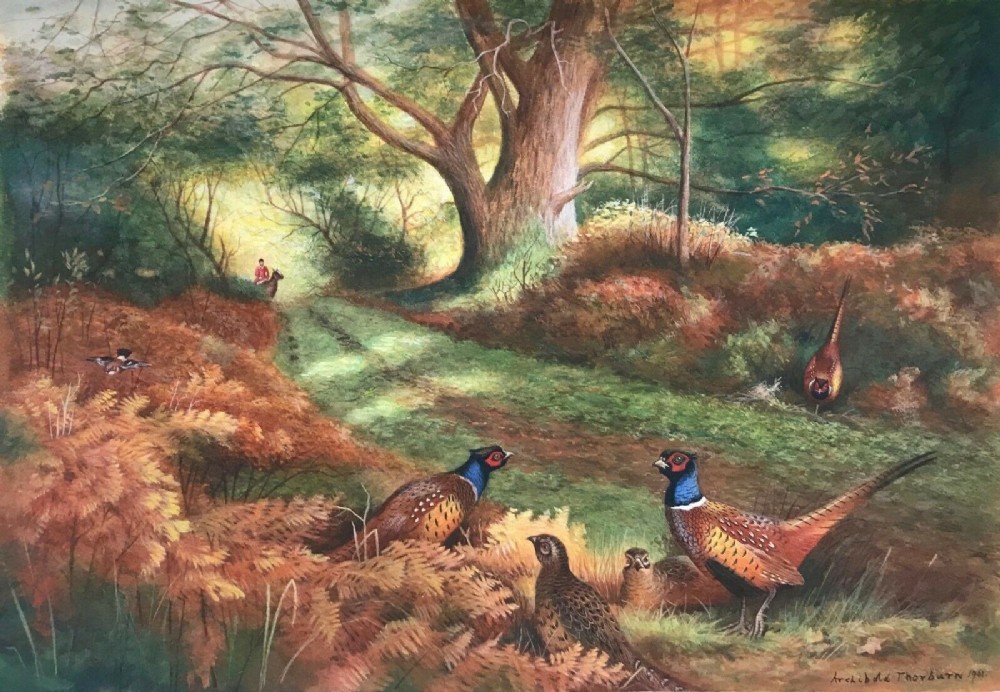 Manner of Archibald Thorburn bears Signature Original Antique English Watercolour Painting Pheasants in a Woodland Landscape