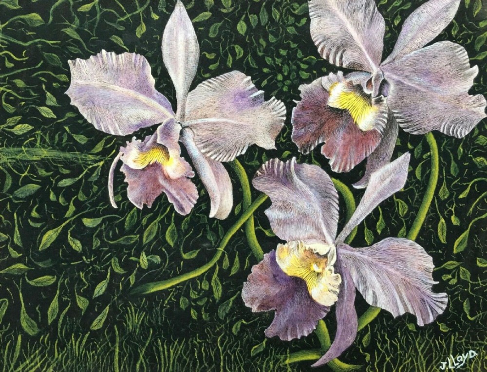 JAMES LLOYD (1905-1974) Signed Original Mid 20th Century English Gouache Painting Still Life Flowers Iris