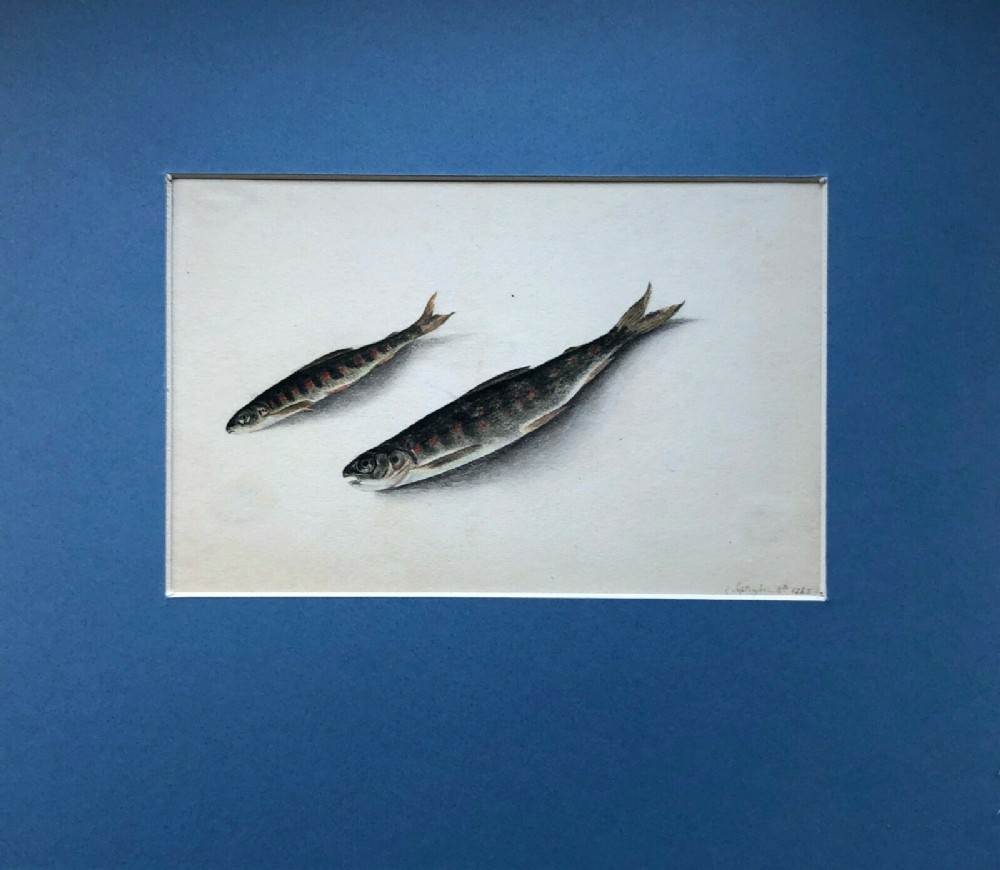 Original 1865 dated Antique Watercolour Painting Still Life Study of Two Fish