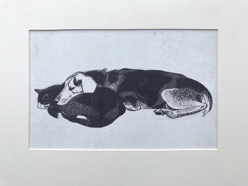 Original Black & White Ink on Card Drawing of Dog and Cat resting
