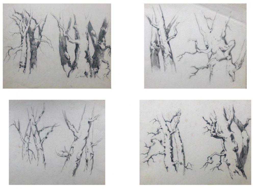 4 x Original 19th century Antique Pencil Drawings Oak & Tree Artist Study Sketches