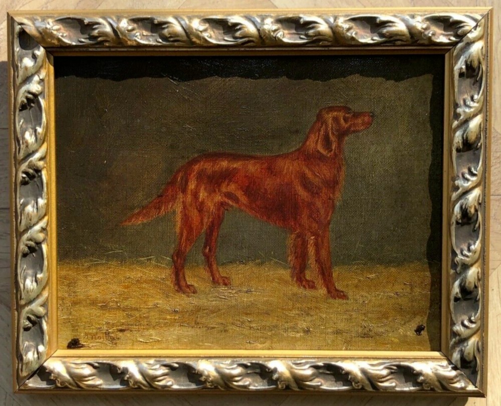 Indistinctly Signed Original 20th Century Antique Oil Painting on Canvas English Red Setter Dog Portrait
