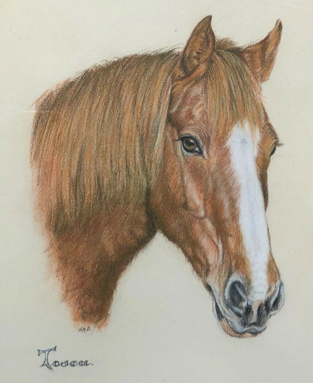 Indistinctly Signed Mid 20th Century Original Vintage Pastel Horse Portrait Study titled 'Tosca'