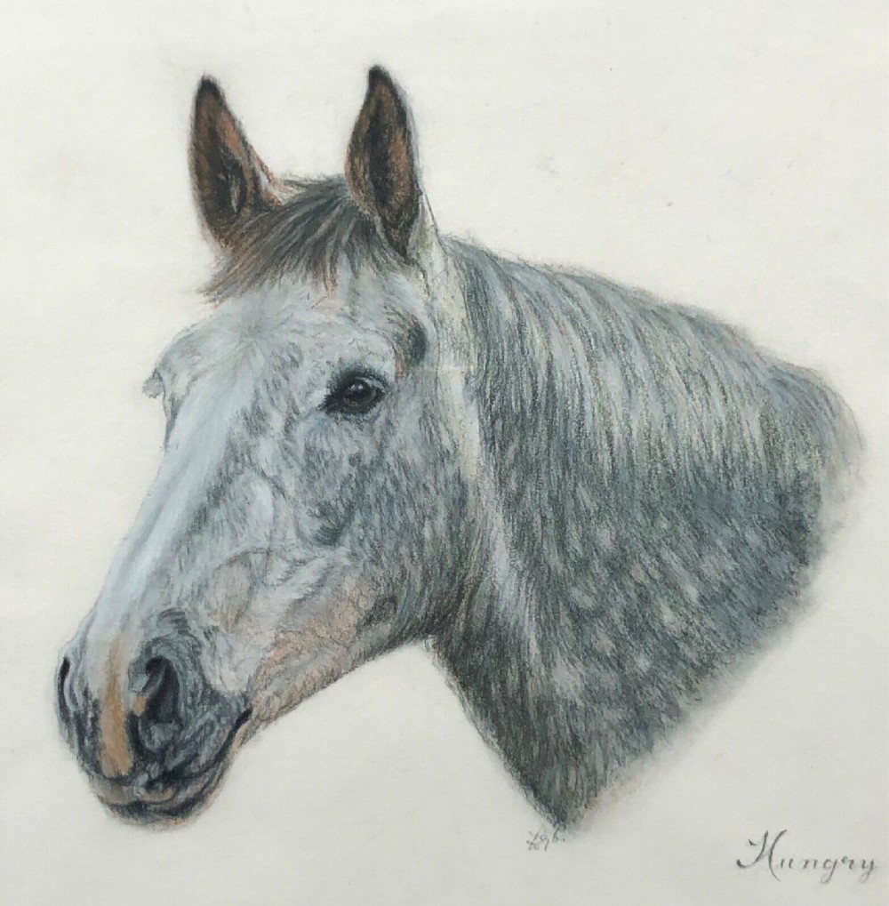 Indistinctly Signed Original Vintage Pastel Portrait Horse Study Inscribed 'Hungry'