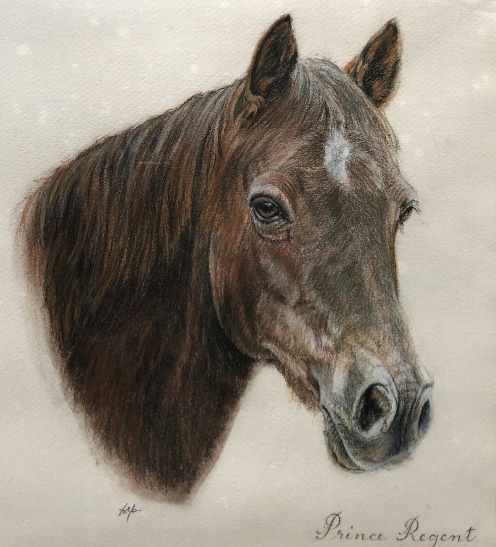 Original indistinctly signed mid 20th Century Vintage Pastel Horse Portrait study inscribed Prince Regent