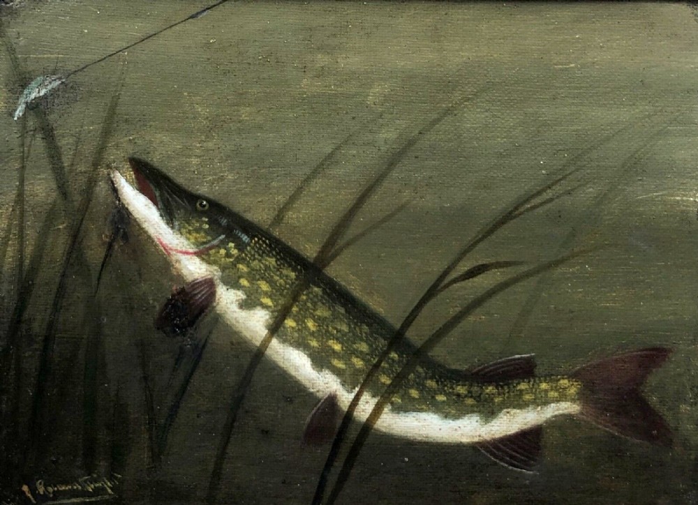 A ROWLAND KNIGHT Signed Original 19th Century Antique Oil Painting on Canvas Fishing Angling Study of a Pike