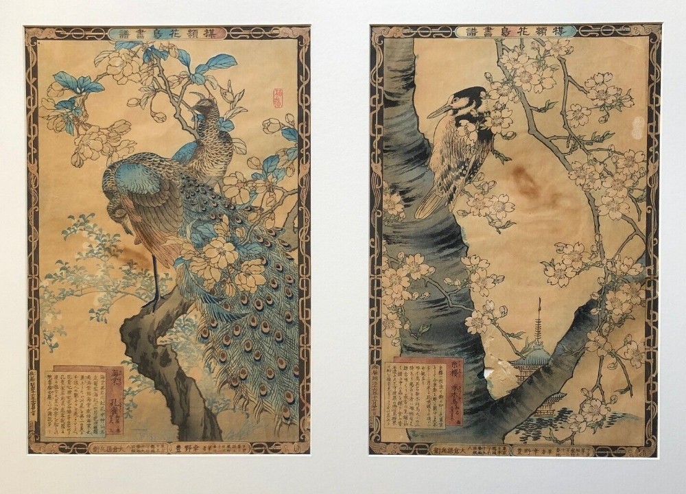 Kono Bairei TWO Framed Original Antique Japanese Woodblock Prints Bird Studies