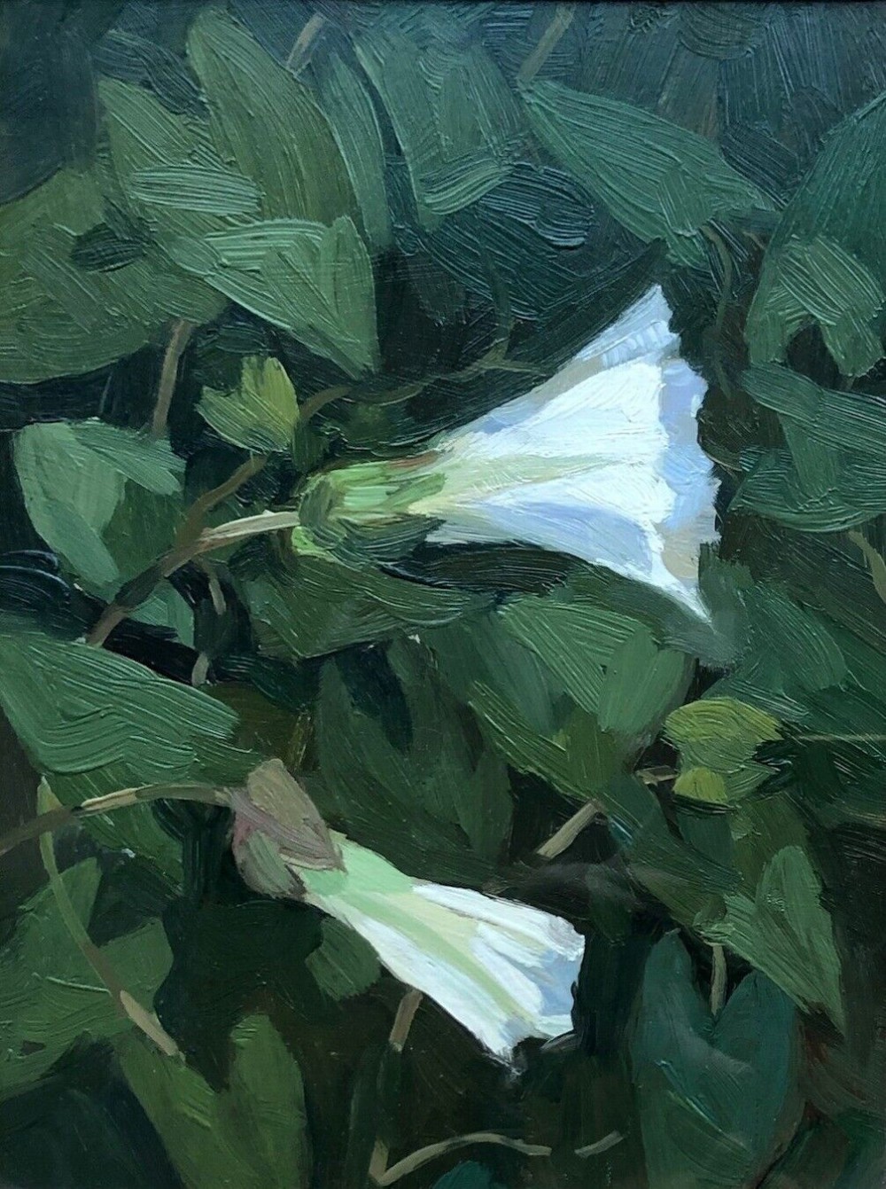 Norman J. Battershill RBA ROI PS (1922-2010) Oil Painting on Board Hedgerow Wild Flowers Bindweed Study in Glazed Frame