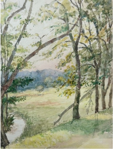 An early 20th-century watercolour painting depicting a grassy countryside meadow and winding stream framed by mature trees. View IV