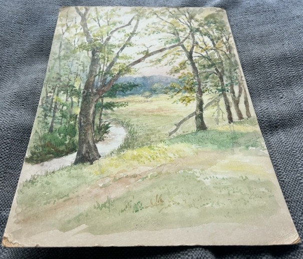 An early 20th-century watercolour painting depicting a grassy countryside meadow and winding stream framed by mature trees. View VII