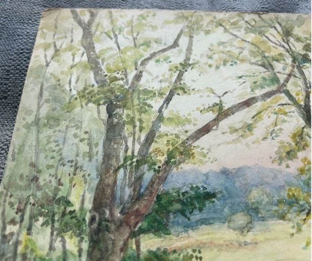 An early 20th-century watercolour painting depicting a grassy countryside meadow and winding stream framed by mature trees. View VIII