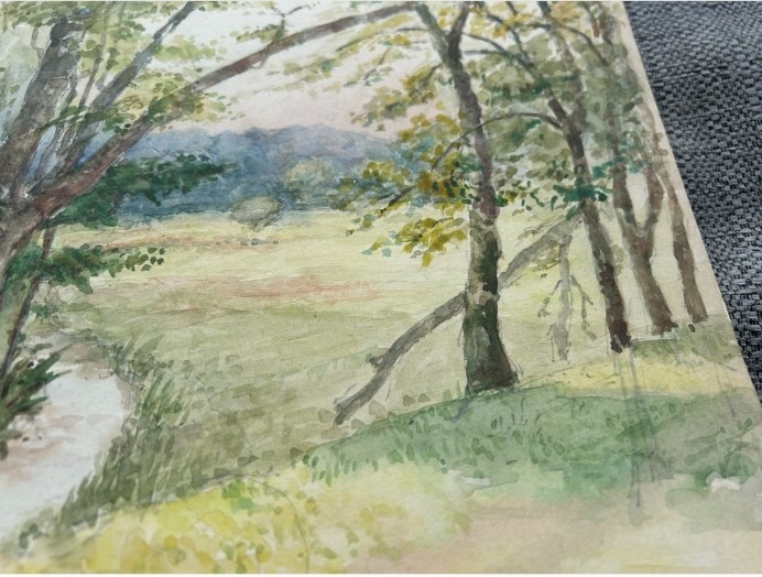 An early 20th-century watercolour painting depicting a grassy countryside meadow and winding stream framed by mature trees. View IX