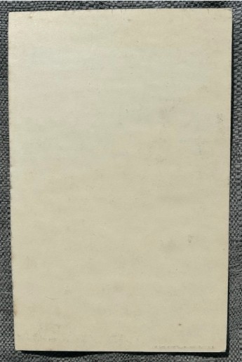 An early twentieth-century black ink drawing on cream card depicting ruined castle structures surrounded by foliage and trees. View IX