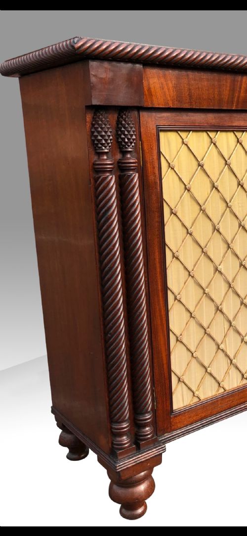 A FINE REGENCY IRISH PROBABLY CORK MAHOGANY SIDE CABINET - ADDITIONAL PHOTO 4
