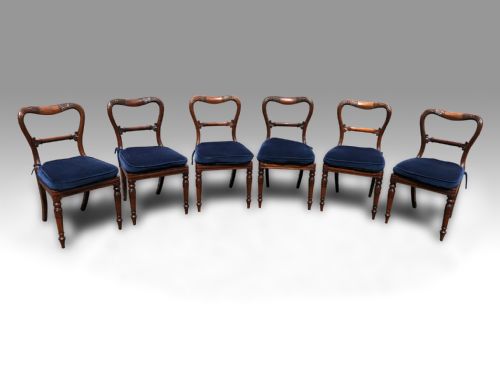a superb set of 6 william iv rosewood dining chairs attributed to gillows - CATEGORY: ANTIQUE CHAIRS - DATED REGENCY