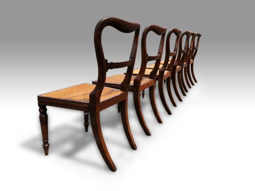 A SUPERB SET OF 6 WILLIAM IV ROSEWOOD DINING CHAIRS ATTRIBUTED TO GILLOWS - ADDITIONAL PHOTO 4