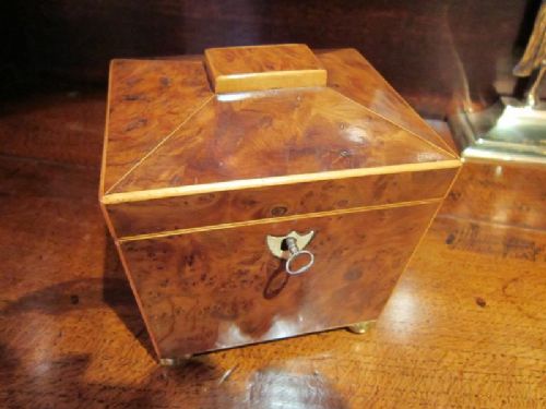 Superb Georgian Burr Yew Caddy