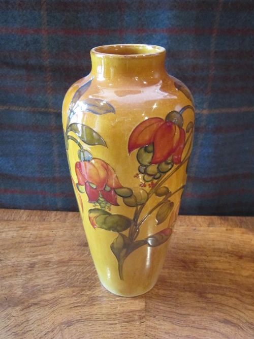 Rare Moorcroft Exhibition  Fushia Vase