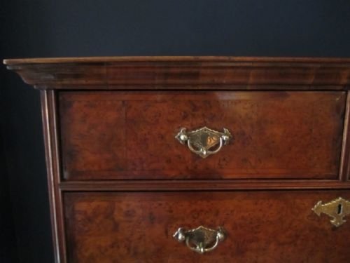 fig 1. SUPERB GEORGE I BURR WALNUT CHEST ON STAND