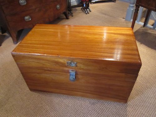 Superb Mid Victorian Camphor Wood Trunk
