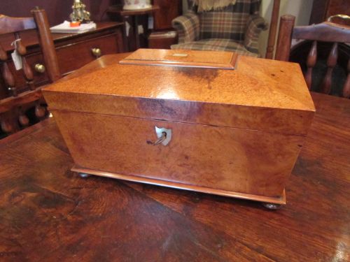 Fine Early Victorian Burr Mulberry Tea Caddy