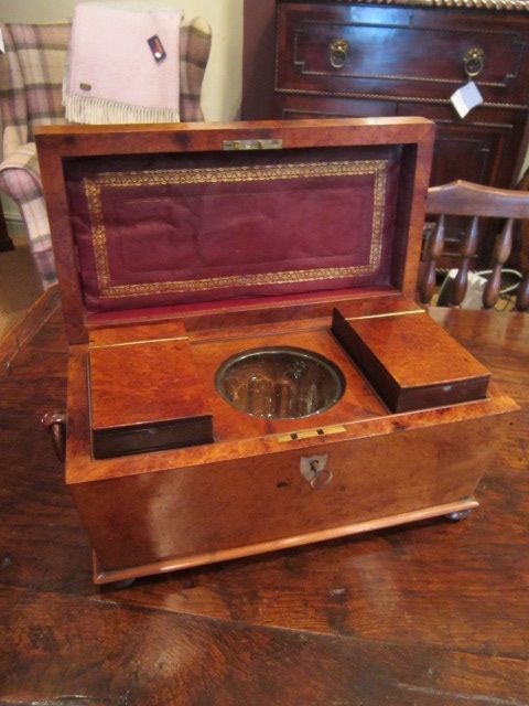 Fine Regency Period Burr Mulberry Tea Caddy