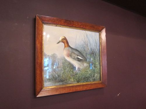 Superb Mid Victorian Game Study Watercolour