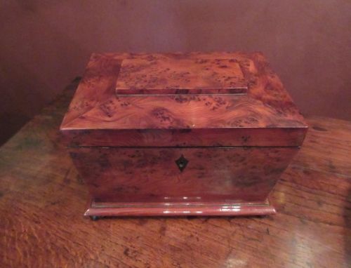 Regency Period Antique Burr Yew Tea Caddy
