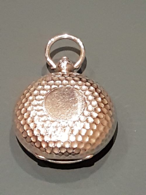 Silver Golf Ball Novelty Sovereign Case