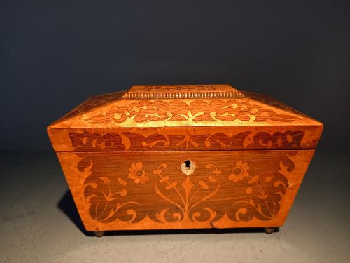 Fine Regency Rosewood & Satinwood Inlaid Tea Caddy