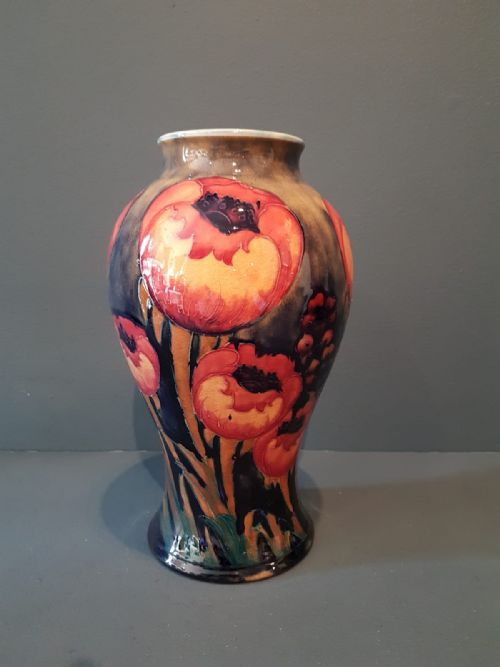 Impressive Moorcroft Big Poppy Vase