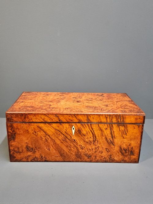 Early Victorian Burr Oak and Yew Writing Slope