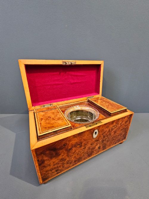 Superb Georgian Burr Yew Tea Caddy