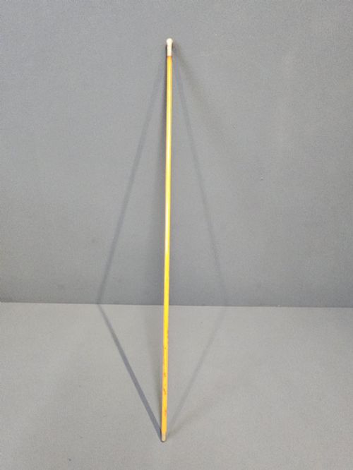 Victorian Swagger Stick with 15ct Gold Mount Inset with a Ruby