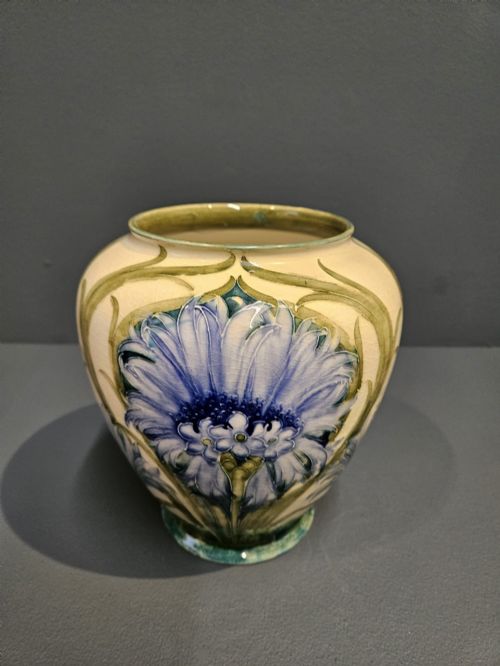 Rare Moorcroft Mcintyre Cornflower on White Vase